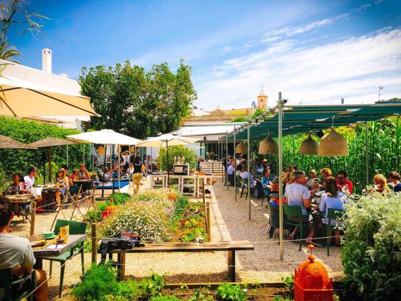 giri cafe ibiza lekker eten gezond