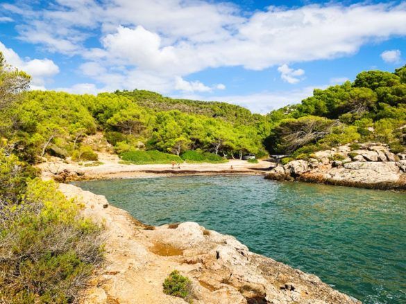 playa cala espart ibiza